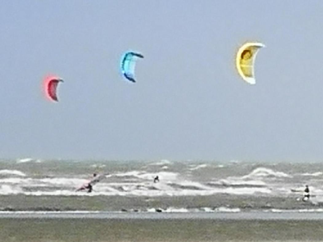Zeester En Koffie. Oostduinkerke-Bad Exterior foto